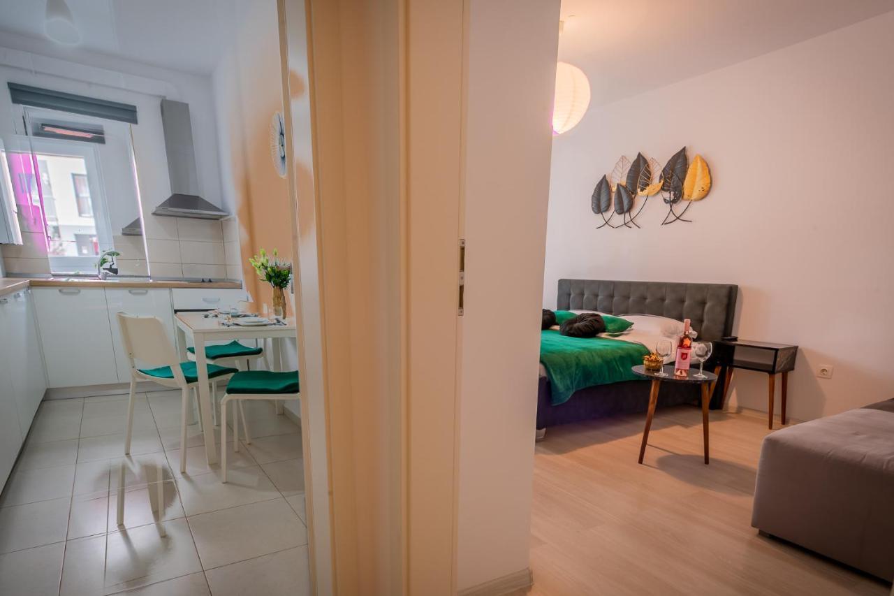 Coresi Vibe Studio Μπρασόβ Εξωτερικό φωτογραφία