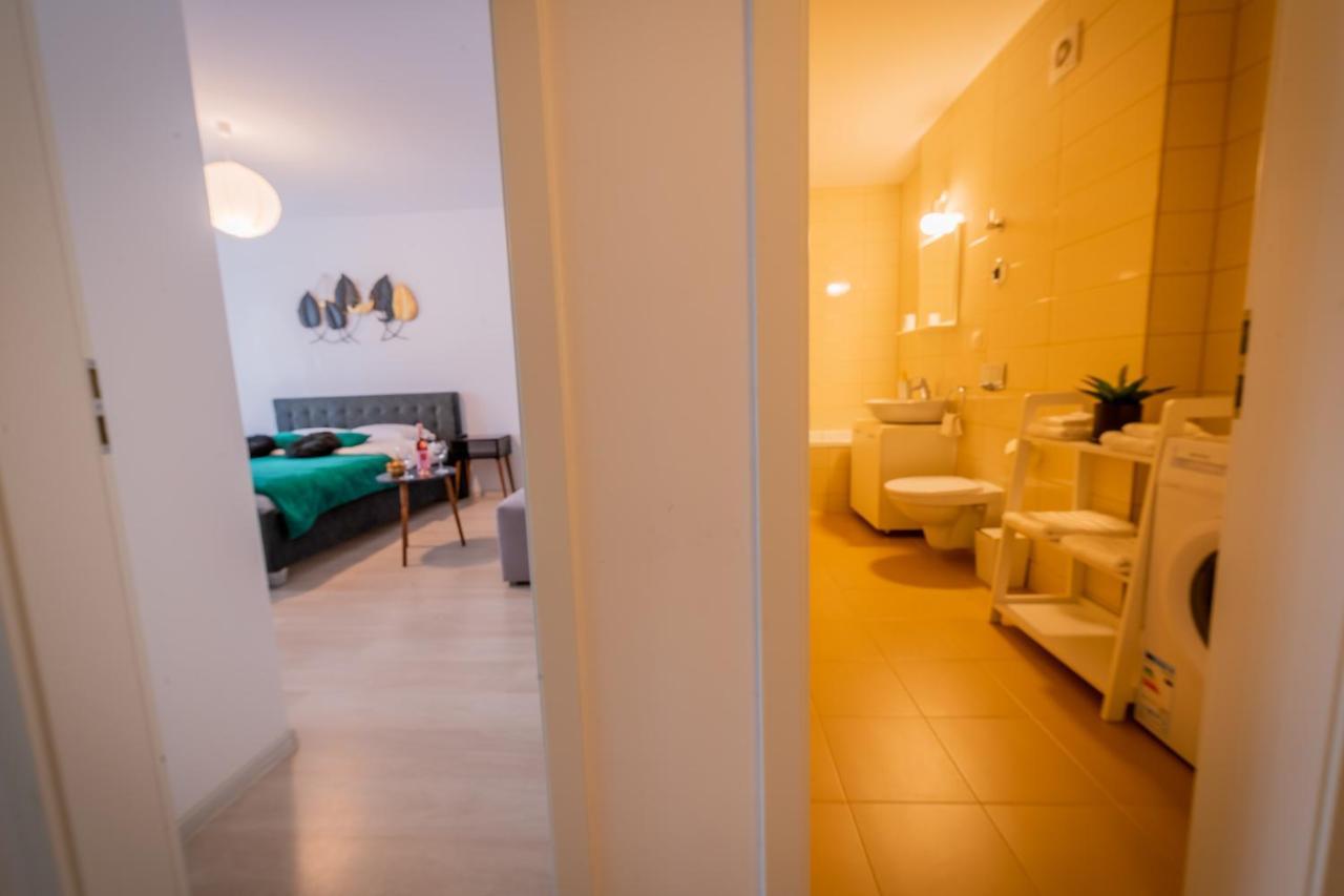 Coresi Vibe Studio Μπρασόβ Εξωτερικό φωτογραφία