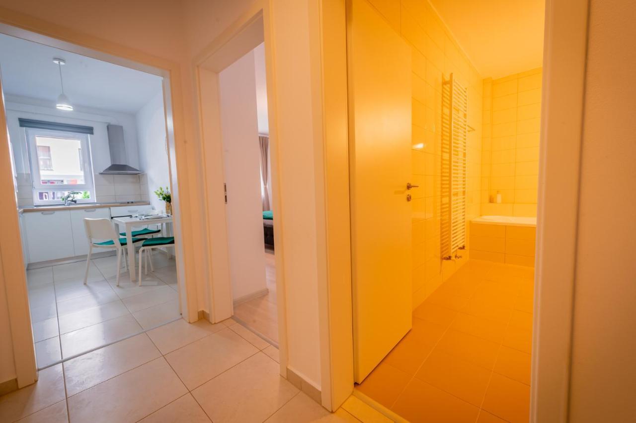 Coresi Vibe Studio Μπρασόβ Εξωτερικό φωτογραφία